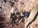 Корпоративный отдых в LAMBRE