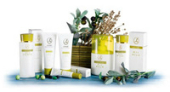 OLIVE OIL LINE Смягчение 